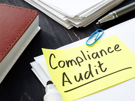 Compliance Audit 