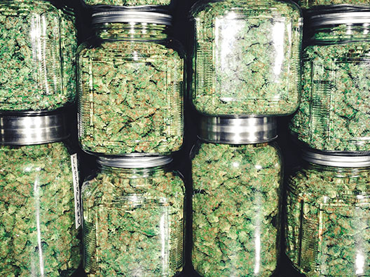 Medical Recreational Marijuana 