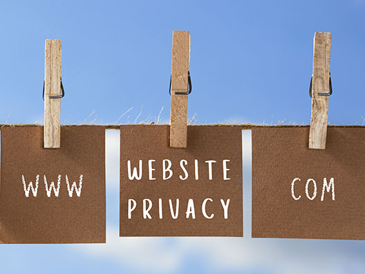 Website Privacy Notice 