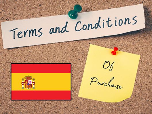 Terms Conditions Of Purchase Spanish 